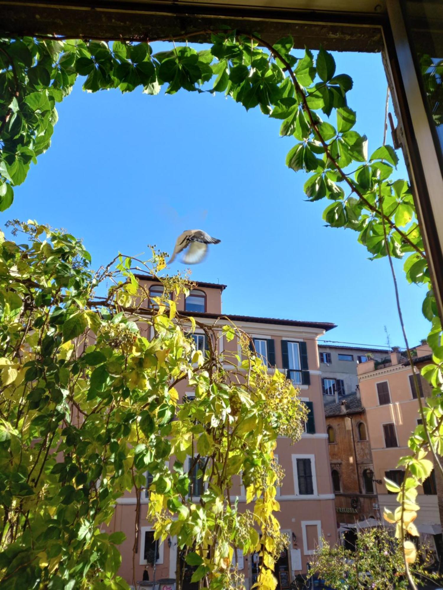 Central Apartment In Trastevere Ρώμη Δωμάτιο φωτογραφία